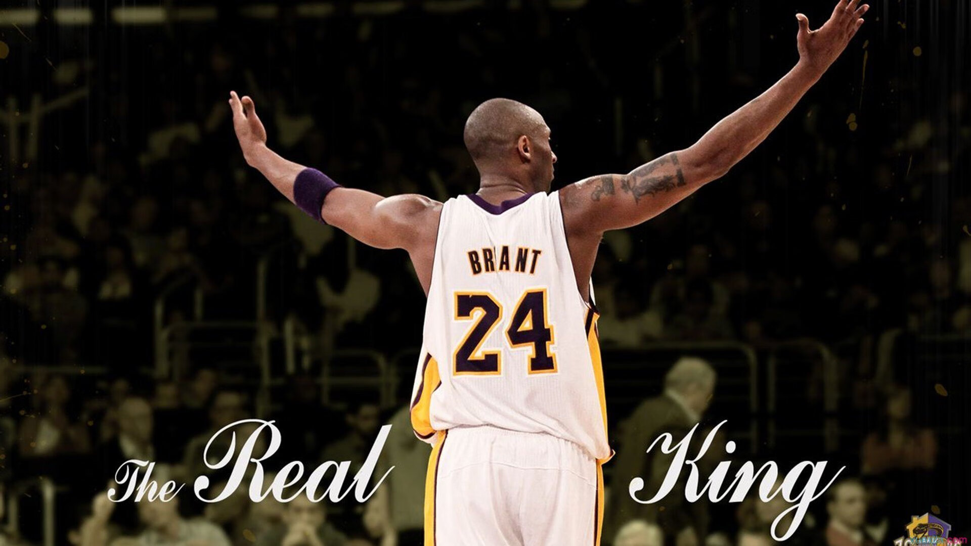 开云官网-剑走偏锋，星光破晓，当霍勒迪的暗夜抉择，照见竞技体育的残酷与浪漫